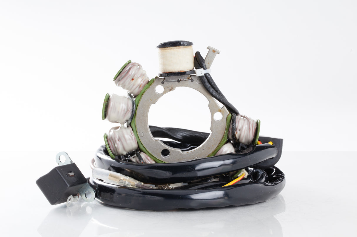 Ricks Stator