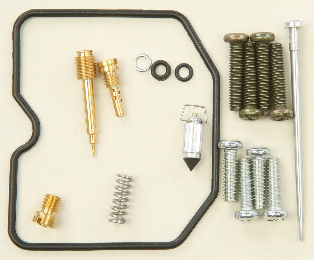 Bike Carburetor Rebuild Kit