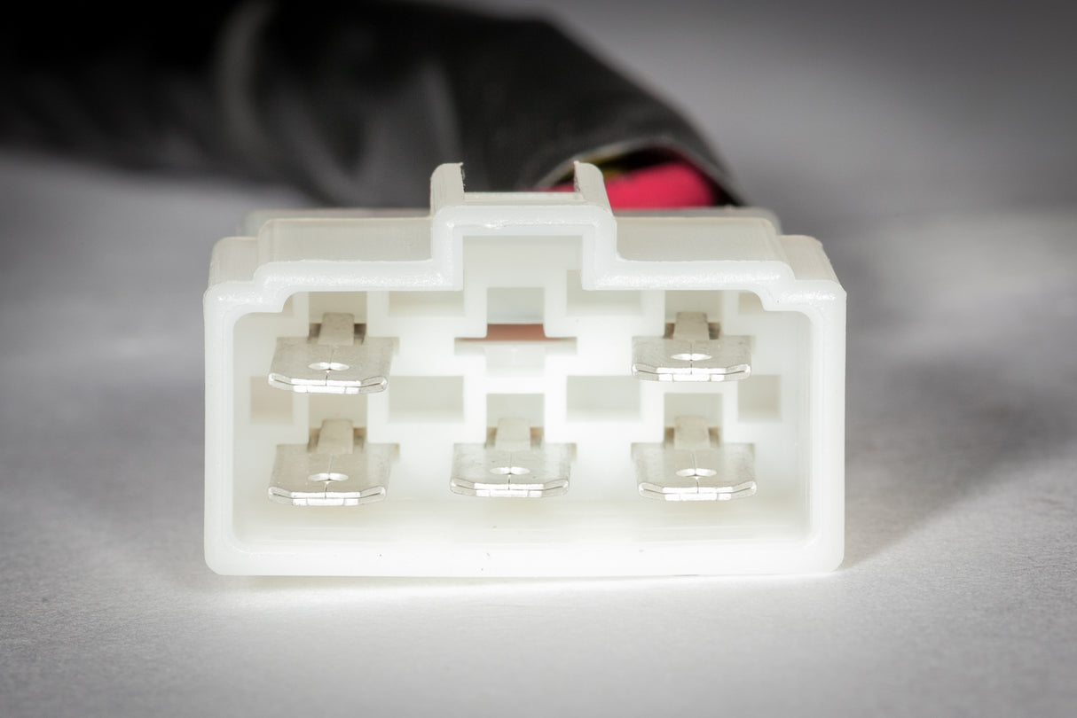 Ricks Regulator Rectifier