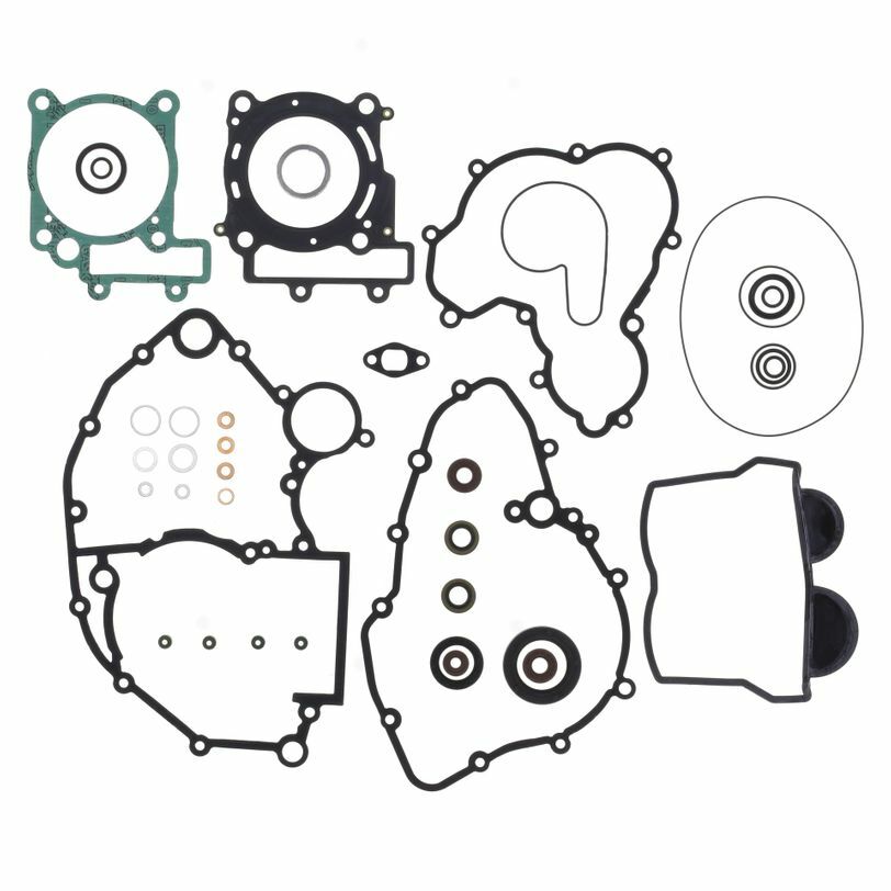 Complete Gasket Kit and Oil Seals