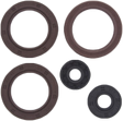 Engine Oil Seal Kit Can