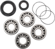 HOT RODS Crankshaft Bearings - Yamaha K225