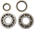 HOT RODS Crankshaft Bearings - Suzuki K229