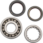 HOT RODS Crankshaft Bearings - Honda K041