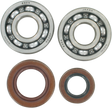HOT RODS Crankshaft Bearings - Gas Gas/Husqvarna/KTM K064