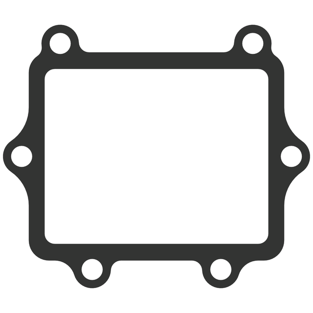 Delta Reed Gasket Polaris