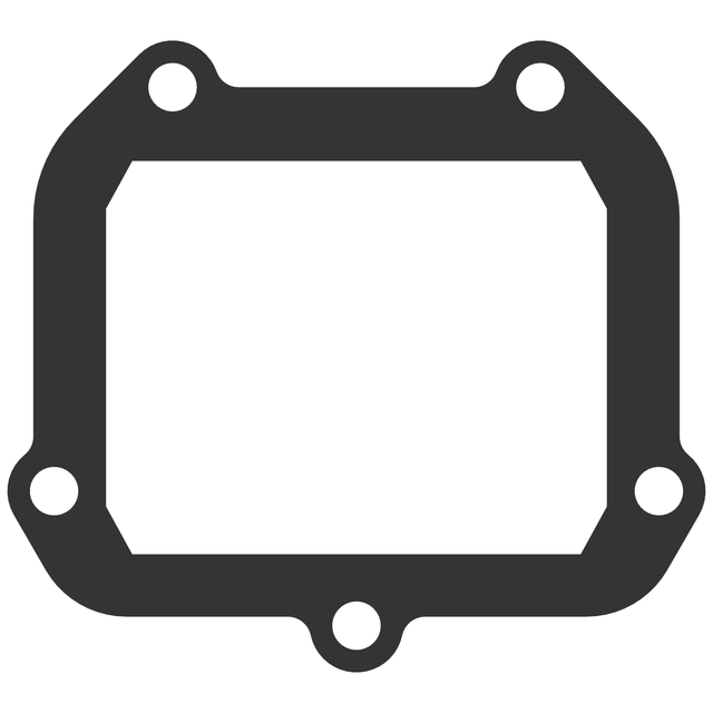 Vforce3 Gasket