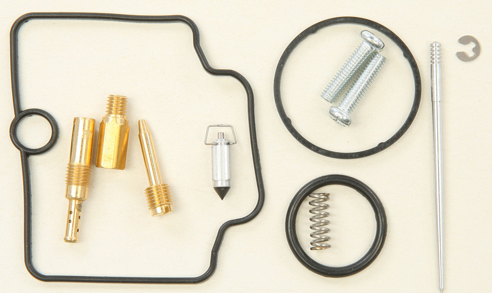 Bike Carburetor Rebuild Kit