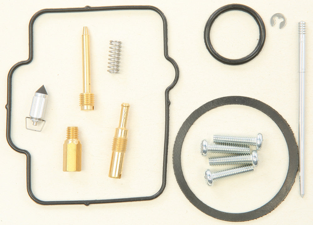 Bike Carburetor Rebuild Kit