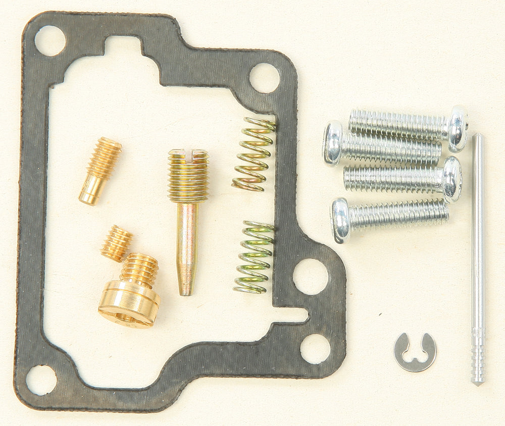 Bike Carburetor Rebuild Kit